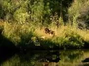 Zoë Kravitz - The Road Within (2014)