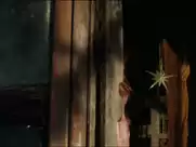 Juno Temple, Kendra Anderson – Horns (2013)