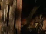 Juno Temple, Kendra Anderson – Horns (2013)