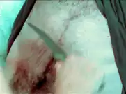 Ruby Larocca - Flesh for the Beast (2003)