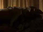 Natasha Henstridge - Power and Beauty (2002)