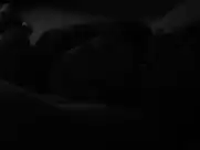 Sugar Lyn Beard, Diane Farr – Palm Swings (2017)