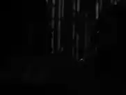 Sugar Lyn Beard, Diane Farr – Palm Swings (2017)