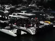 Tropical Paradise PMV