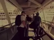 Tropical Paradise PMV