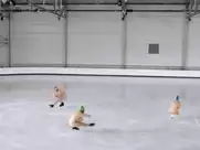 Celine Fuhrer - Apnee (2016)