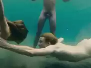 Marie Tourell Soderberg - Steppeulven (2014)