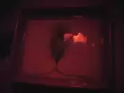 Susanne Widl - Unsichtbare Gegner (1976)