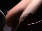 Sarah Laine, Sandra McCoy, Nikki Griffin, Dina Meyer - Wild Things: Diamonds in the Rough (2005)