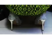 KPOP explicit music video