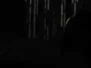 Madison McKinley - Palm Swings (2017)