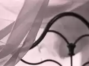 Yuki Mamiya, Wakana Matsumoto - The Crawler in the Attic (2016)