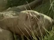 Renata Dancewicz - Diabelska edukacja (1994)