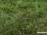 Tess Lyndon - Disappeared On Arrival 2 (2016)