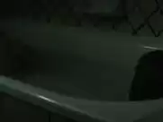 Scout Taylor nude in Compton Ghost House (2017)