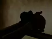 Ulrike C. Tscharre - Mord in Eberswalde (2013)