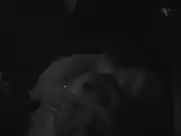 Teresa Palmer sex scenes from Berlin Syndrome (2017)