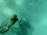 Teresa Palmer, Isabel Lucas, Raquel Zimmerman, Melissa Haro, Jessica Farrow - Knight of Cups (2015)