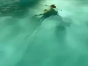 Teresa Palmer, Isabel Lucas, Raquel Zimmerman, Melissa Haro, Jessica Farrow - Knight of Cups (2015)