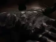 Vanesa González, Florencia Torrente, etc - Hipersomnia (2016)