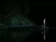 Irina Starshenbaum nude in Black Water (2017)