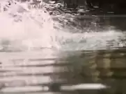 May Karasun nude in Lake Consequence (1993)