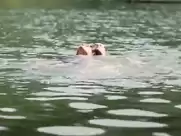 May Karasun nude in Lake Consequence (1993)