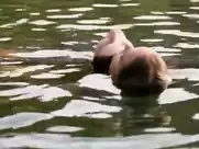 May Karasun nude in Lake Consequence (1993)