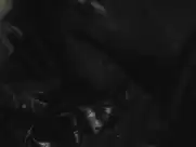 Maggie Gyllenhaal - SherryBaby (2006)