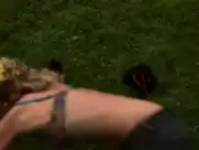 Marie Pape - Les Matins Americains