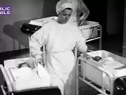 Groland nue -  Baisse dramatique de la fécondité