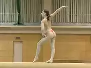 Claudia Presăcan - Gold Bird (2002)