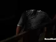 Paulina Zrnova  - Betrayed Cargo (2013)