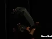 Paulina Zrnova  - Betrayed Cargo (2013)