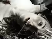 Michelle Dockery - Godless (s01 e04-06, 2017)