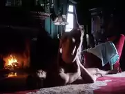 Shannon Whirry nude in Ringer (1996)