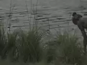 Lucy Walters - Here Alone (2016)