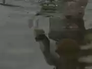 Lucy Walters - Here Alone (2016)