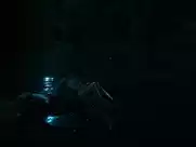 Magdalena Boczarska, Justyna Wasilewska - Sztuka Kochania-Historia Michaliny Wislockiej (2017)