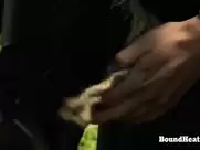 Cayla Lyons - Disappeared on Arrival (2015) 2