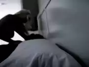 Dani Thompson - Se1: Evan's Baby (2012)