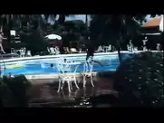 Karin Schubert - This Time Ill Make You Rich