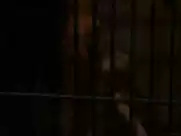 Maria Rohm, Diana Lorys - The Bloody Judge