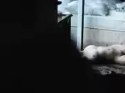 Joanna Kulig - Środa czwartek rano (2007)