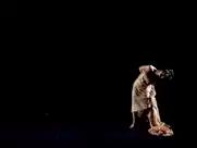 Dance of the seven veils, from Richard Strauss's Salome