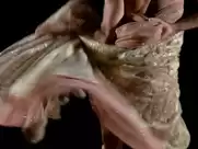 Dance of the seven veils, from Richard Strauss's Salome