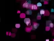 Lavinia Wilson, Isabelle Redfern - Schossgebete (2014)