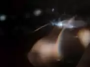 Lavinia Wilson, Isabelle Redfern - Schossgebete (2014)