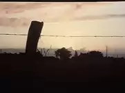 Michele Perello -  Corps brulants (1976)