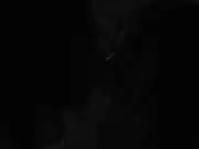 Margaret Qualley - Novitiate (2017)